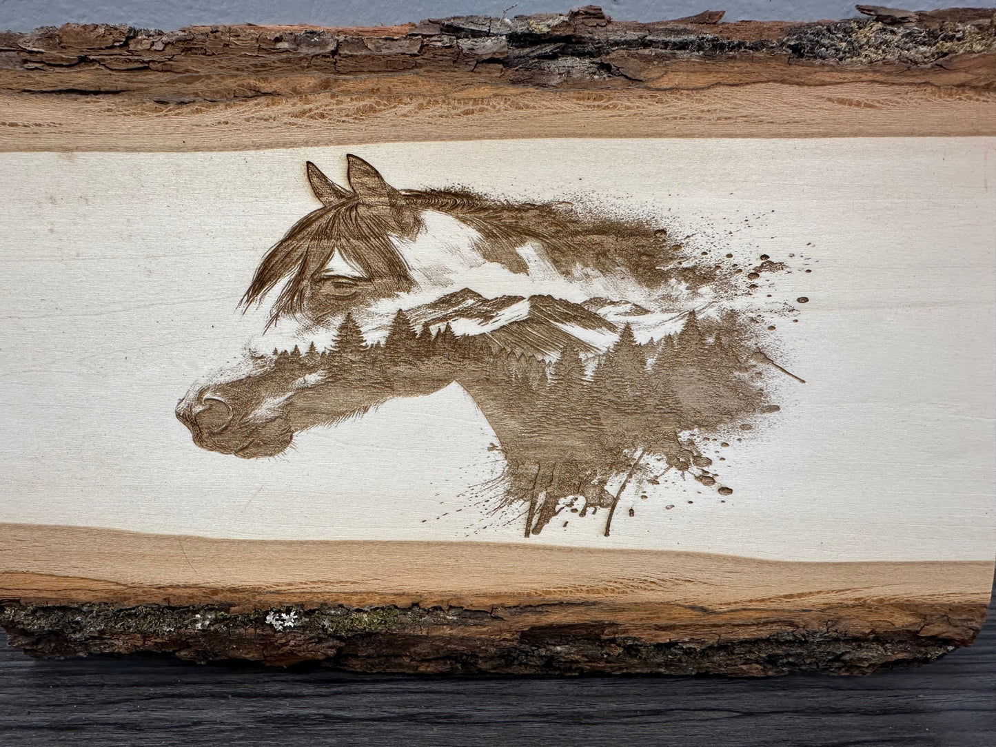Rustic Horse Head Wood Sign