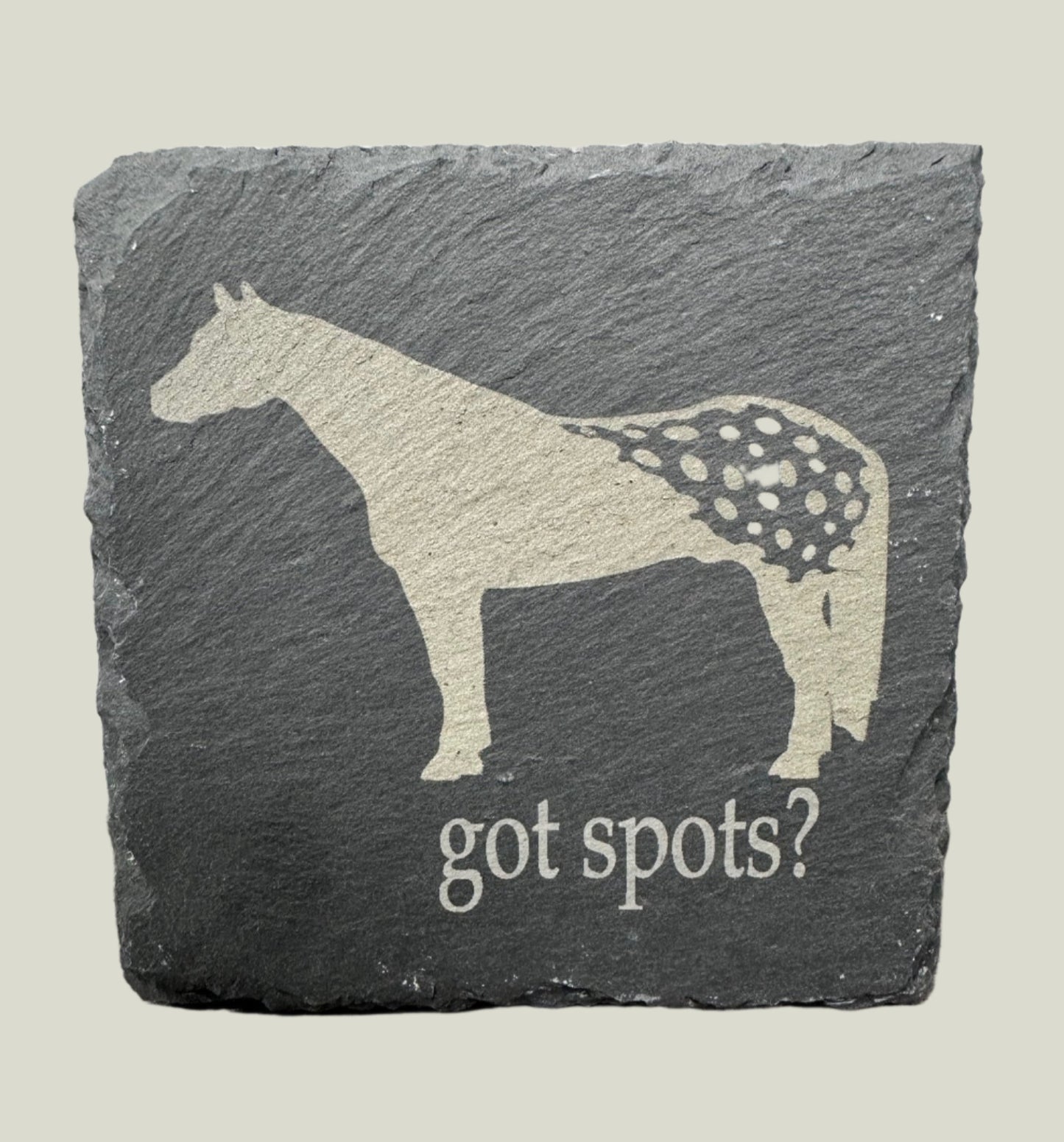 Appaloosa Horse Slate Coaster - Got Spots?