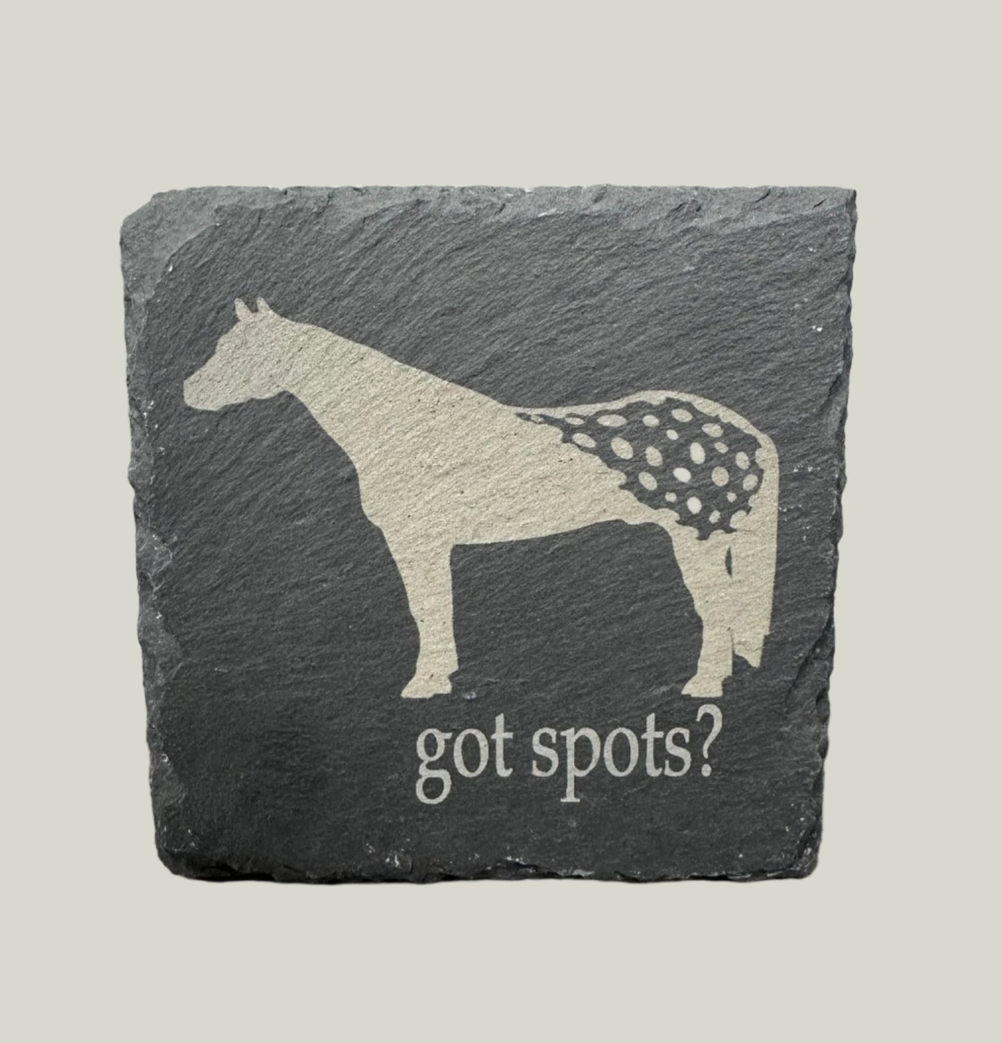 Appaloosa Horse Slate Coaster - Got Spots?