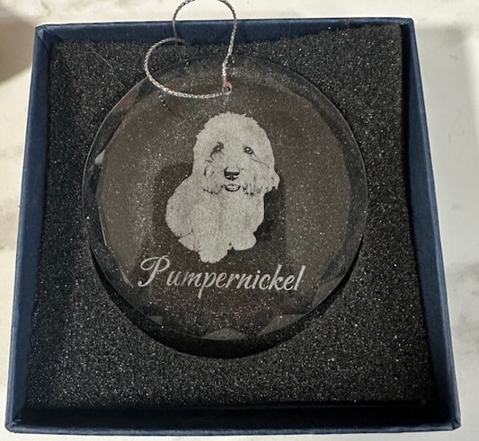 Round glass ornament with a dog engraving and 'Pumpernickel' text, in a box.
