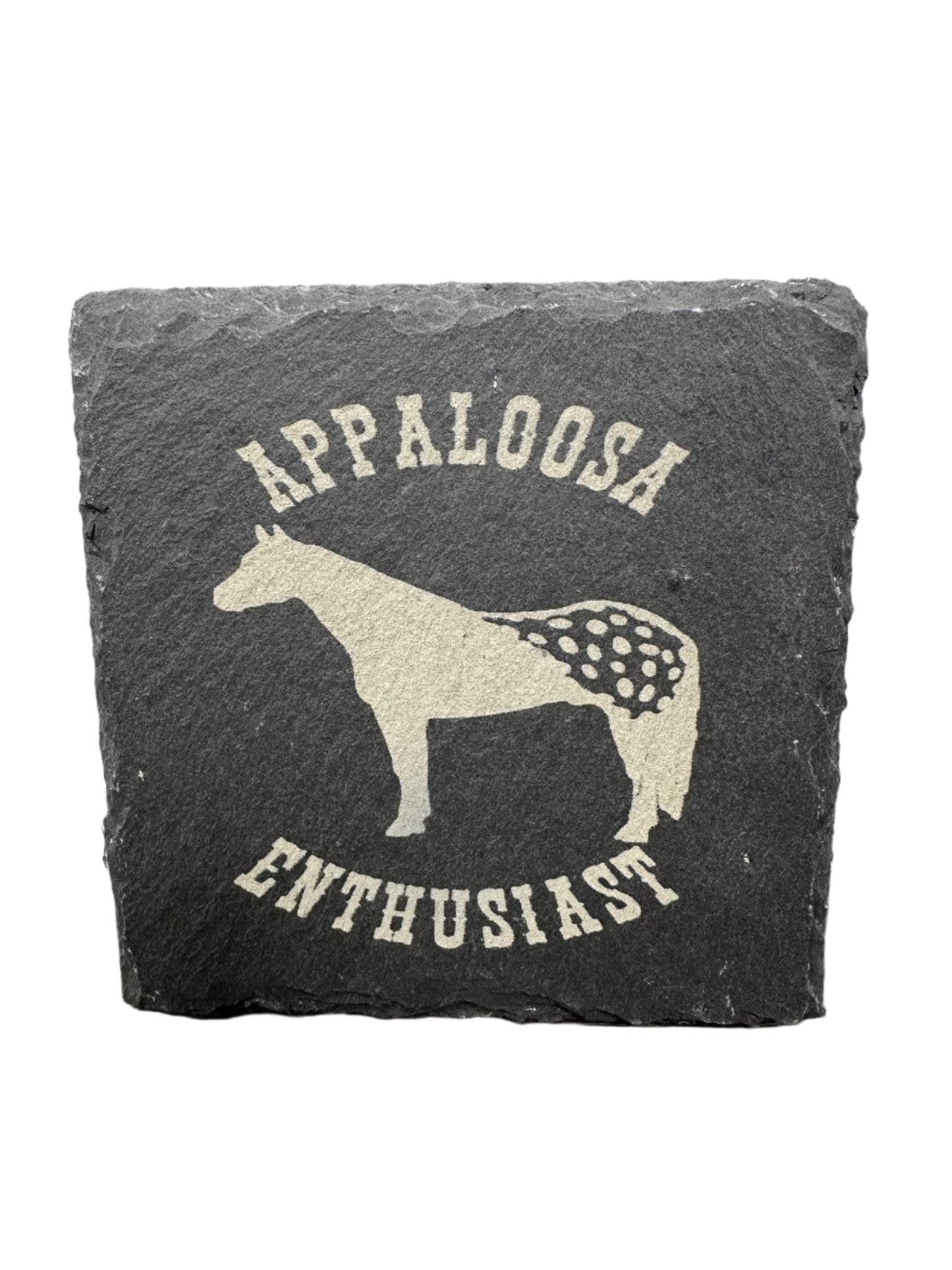 Appaloosa Horse Slate Coaster #2