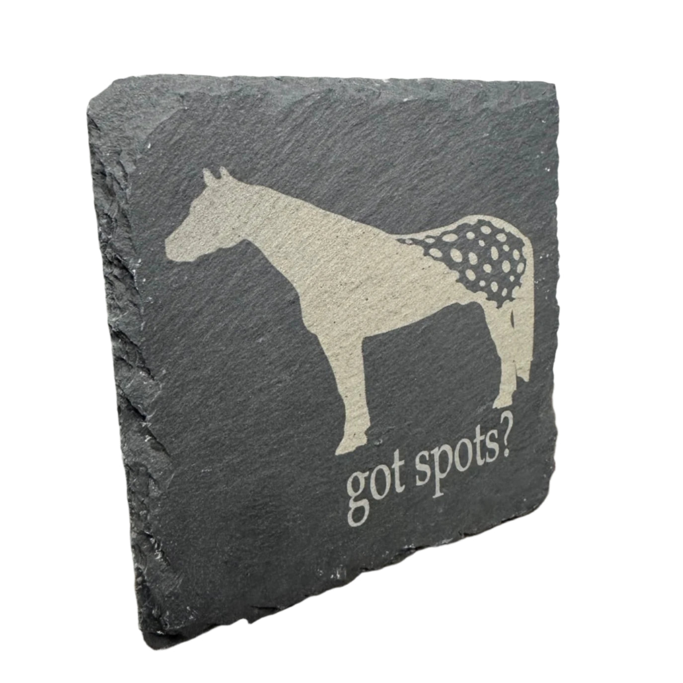 Appaloosa Horse Slate Coaster - Got Spots?